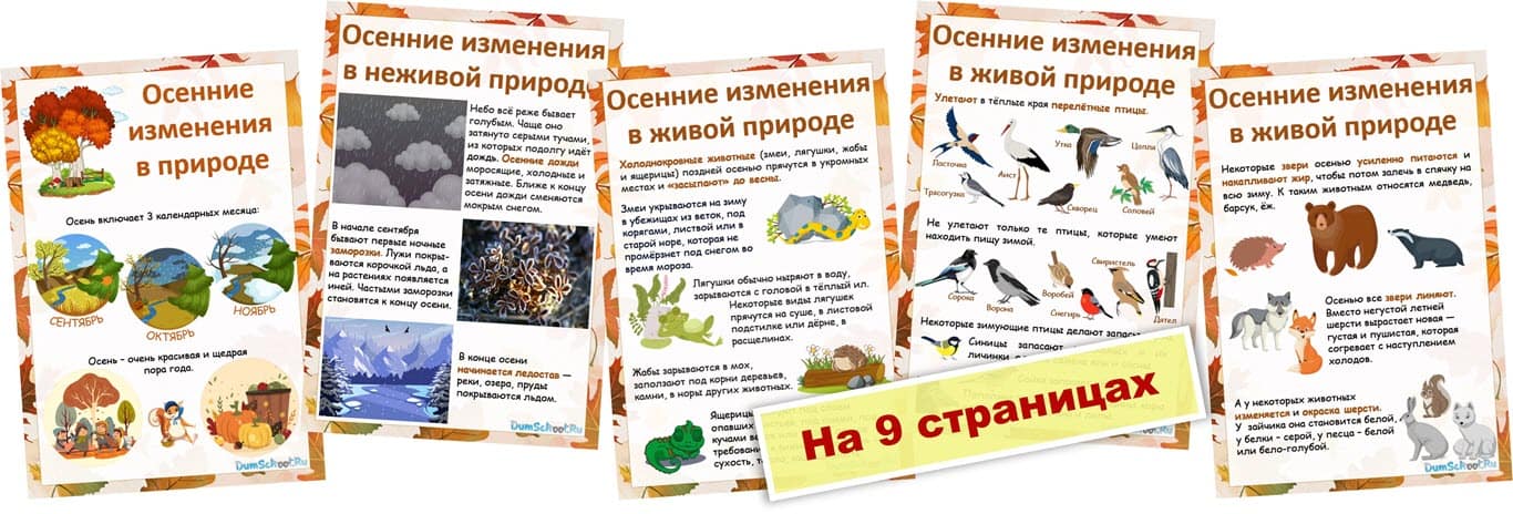 Плакаты с изменениями в природе осенью для детей